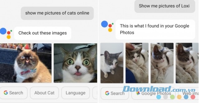Tìm ảnh qua Google Assistant