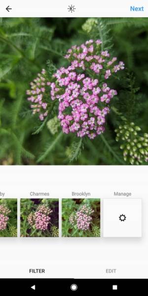 Bộ lọc của Instagram