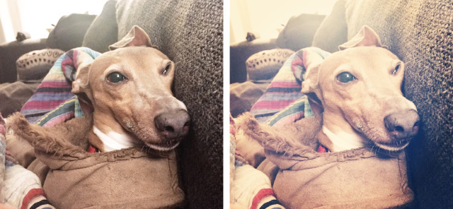 Walden của Instagram