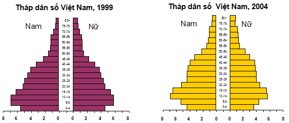 Đề thi học sinh giỏi cấp cơ sở tỉnh Điện Biên năm 2010 môn Địa lý lớp 12