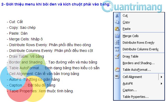 Ebook Tự học MS Word 2003