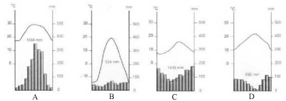 Đề thi học sinh giỏi lớp 12 THPT tỉnh Ninh Thuận năm 2012 - 2013 môn Địa lý