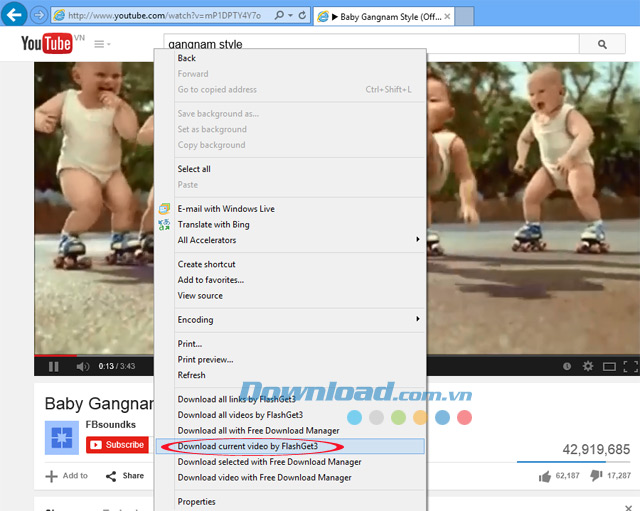 Tải video trên YouTube Hướng dẫn sử dụng FlashGet để tải Video Flash