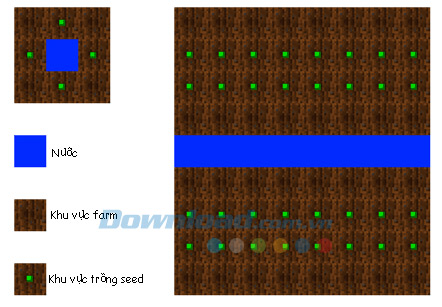 Trồng hạt giống