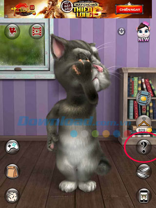 Mèo Tom gây bất ngờ