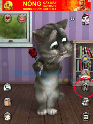 Mèo Tom lãng mạn