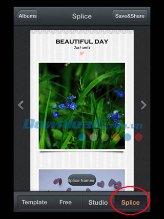 Mẫu template Splice
