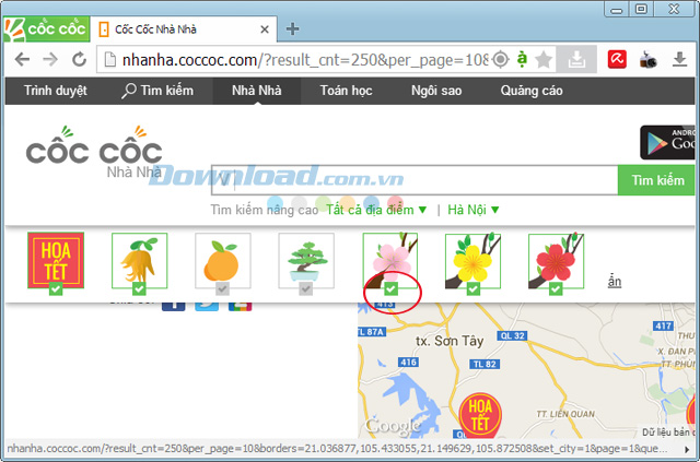 Tìm chợ hoa Tết, hình nền Tết, lời chúc Tết bằng Cốc Cốc