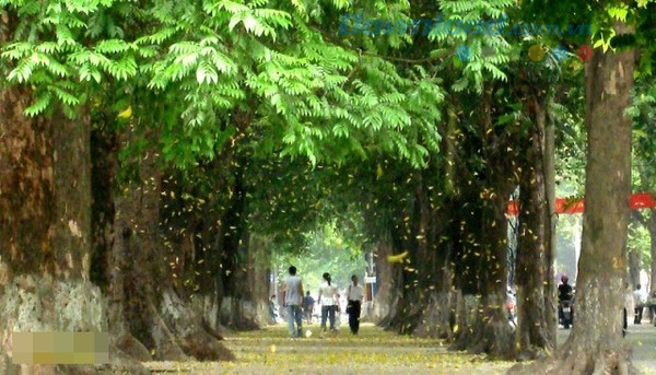 Những địa điểm hẹn hò Valentine lãng mạn nhất