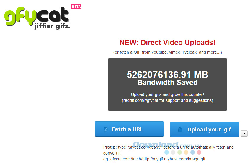 ảnh minh hoạ gyfcat Các công cụ tạo ảnh GIF miễn phí tốt nhất