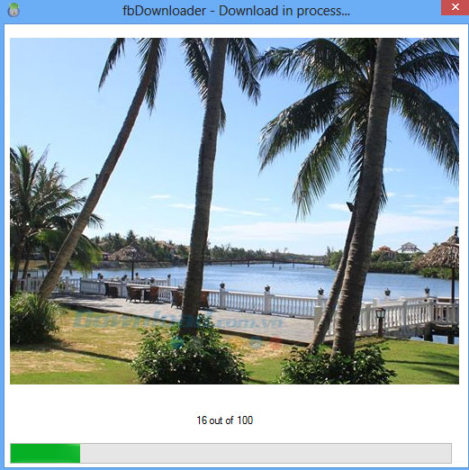 Download album ảnh trên Facebook