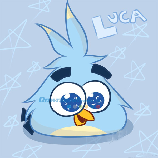 tìm hiểu về biệt đội chim hồng Stella