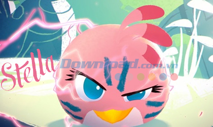 Tìm hiểu về biệt đội chim hồng Stella