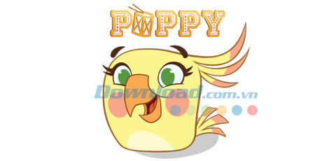 Tìm hiểu về biệt đội chim hồng Stella