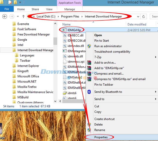 Properties Cách sửa lỗi IDM báo Fake Serial Number