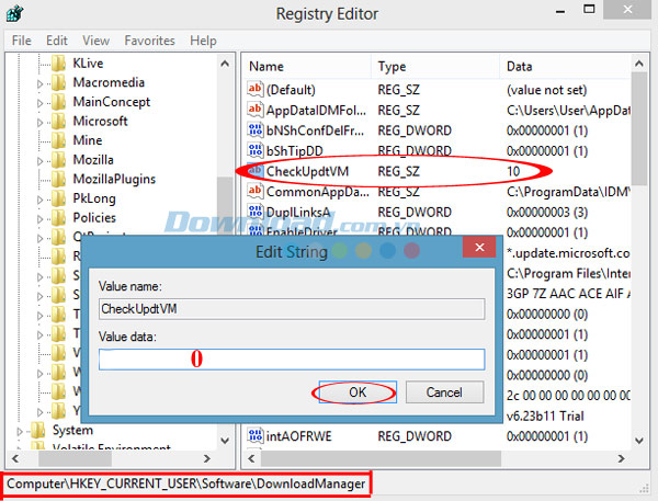 Sửa giá trị Cách sửa lỗi IDM báo Fake Serial Number