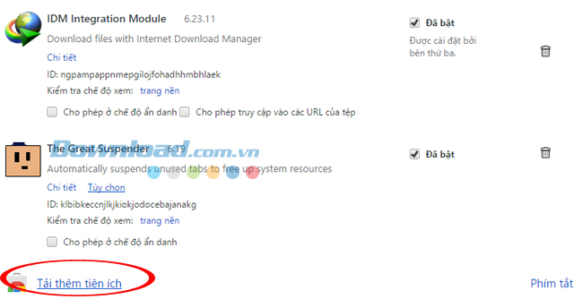 Khắc phục lỗi IDM không tải file MP4 trên Chrome