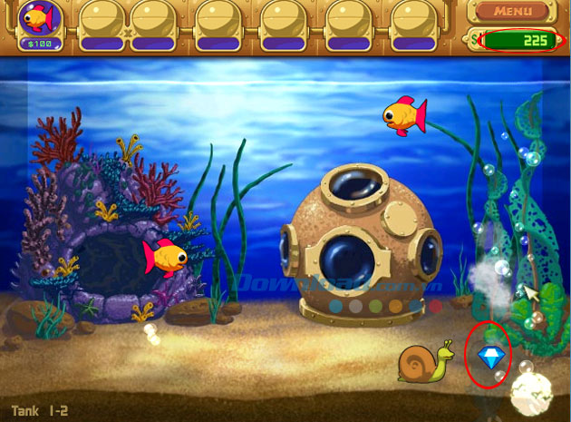Kinh nghiệm chơi Adventure trong game Insaniquarium Deluxe 