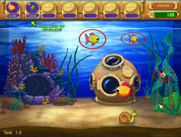 Kinh nghiệm chơi Adventure trong game Insaniquarium Deluxe 