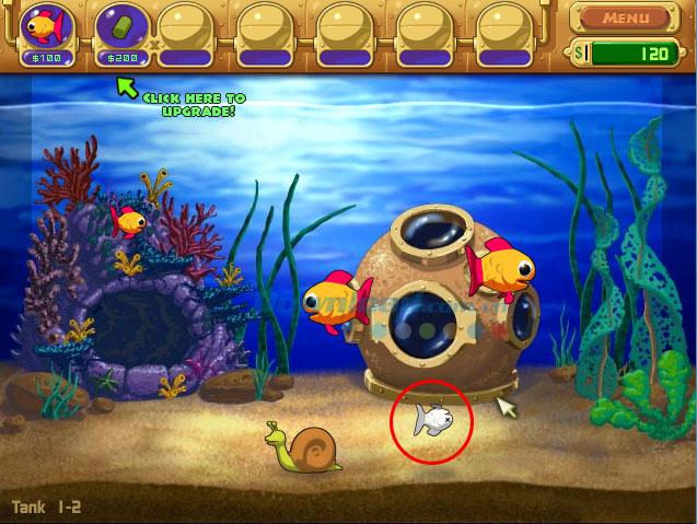 Kinh nghiệm chơi Adventure trong game Insaniquarium Deluxe 