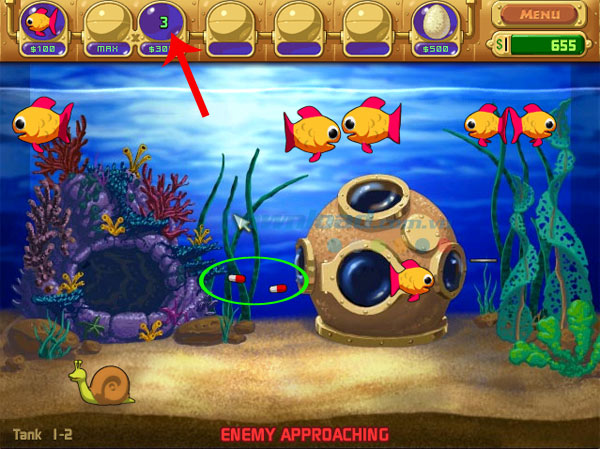 Kinh nghiệm chơi Adventure trong game Insaniquarium Deluxe 