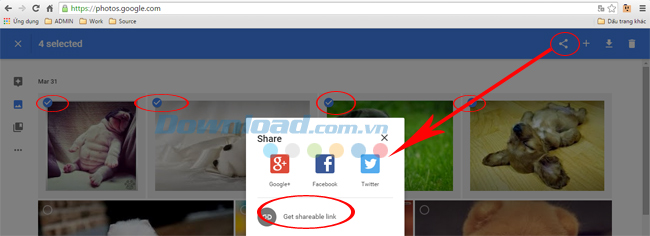 tạo link share Những thủ thuật không thể bỏ qua với Google Photos