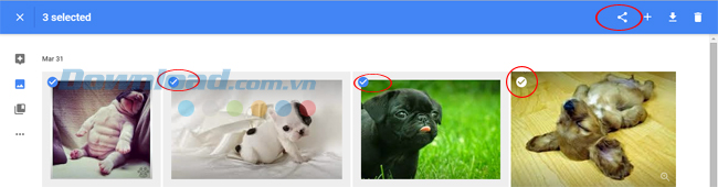 Tạo link chia sẻ Những thủ thuật không thể bỏ qua với Google Photos