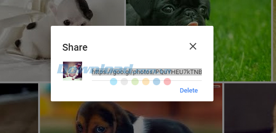 Link chia sẻ Những thủ thuật không thể bỏ qua với Google Photos