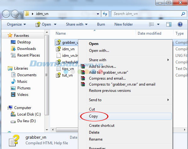 Sao chép gói ngôn ngữ IDM
