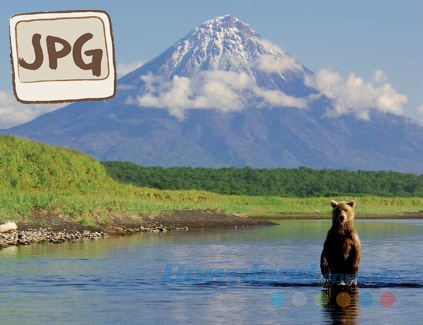 Định dạng GIF, PNG, JPG là gì?