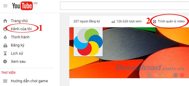 Trình quản lý video