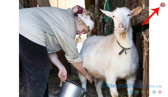 Ứng dụng học tập