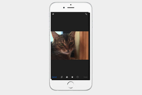 Chỉnh sửa ảnh RAW