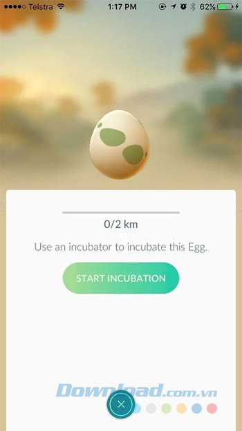 Ấp trứng Pokemon