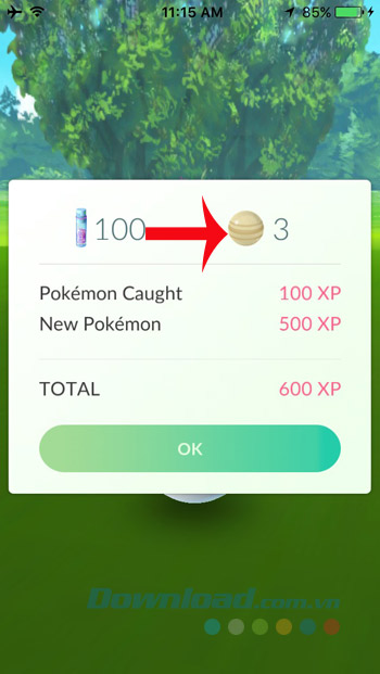 Bắt Pokemon để kiếm Candy