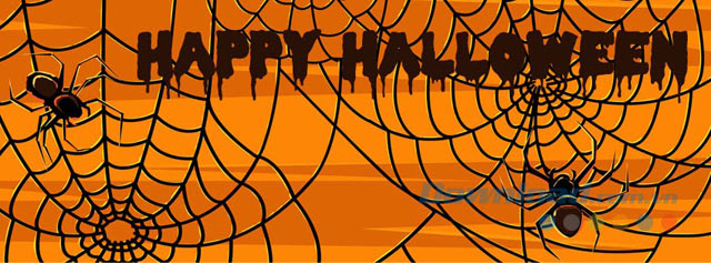 Những chú nhện giăng tơ Những chú nhện giăng tơ