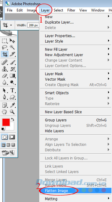 Gộp Layer Gộp Layer
