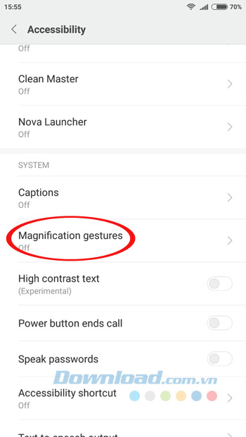 Magnification Gestures