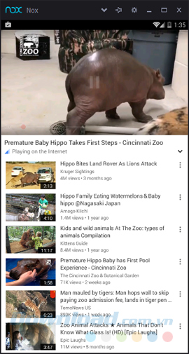 Video
