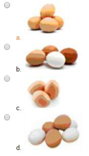 Đề thi Violympic Toán Tiếng Anh lớp 1 vòng 7 Đề thi Violympic Toán Tiếng Anh lớp 1