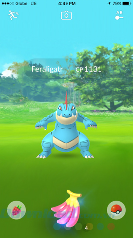 Feraligatr