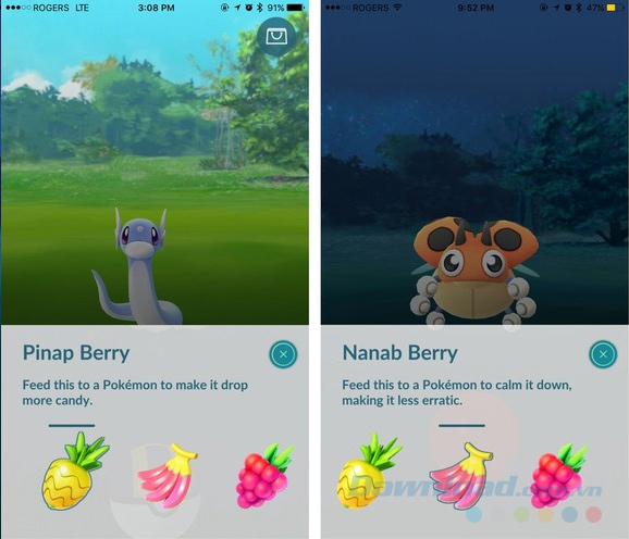 Hai loại Berry mới