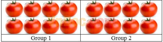 Đề thi Violympic Toán Tiếng Anh lớp 1 vòng 4 Đề thi Violympic Toán Tiếng Anh lớp 1 vòng 4