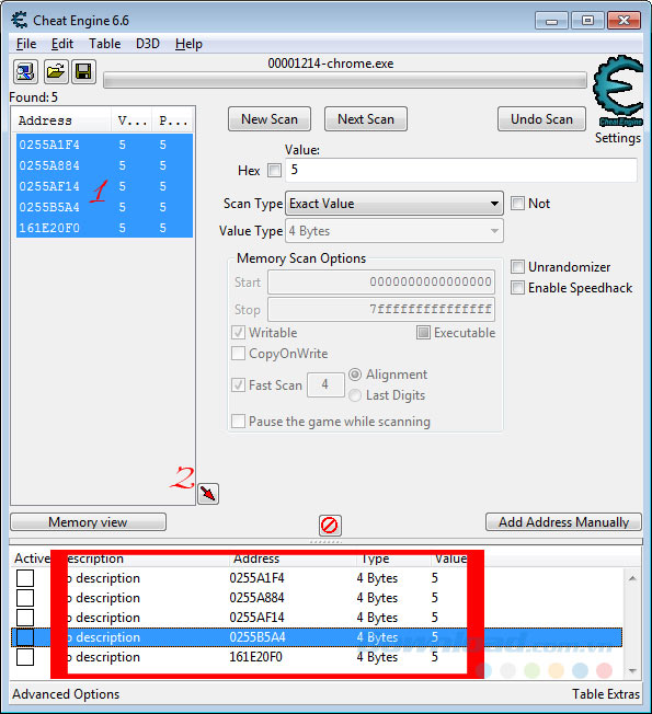 Advanced Options Advanced Options