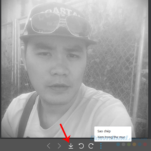Các tùy chọn