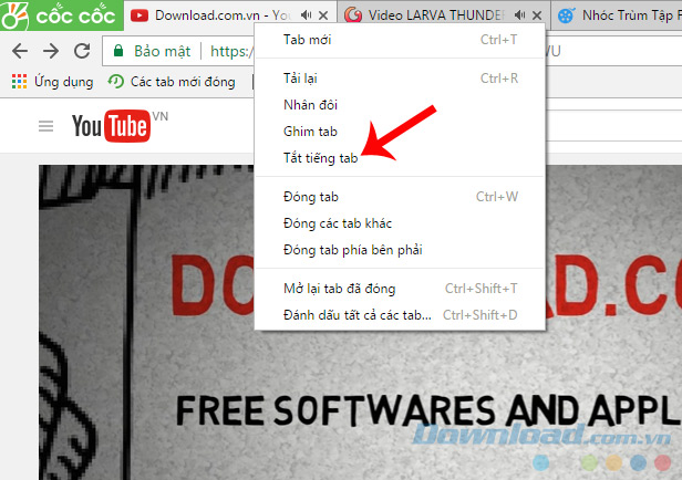Tắt âm thanh Tắt âm thanh