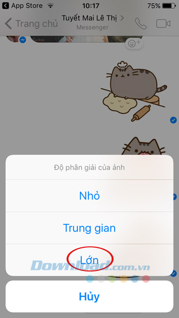 Chọn độ phân giải ảnh