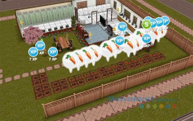 Cho nhiều Sim trồng rau