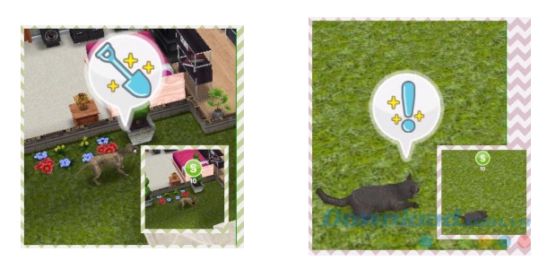 Thú cưng đào tiền