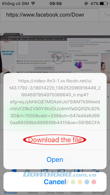 Download file